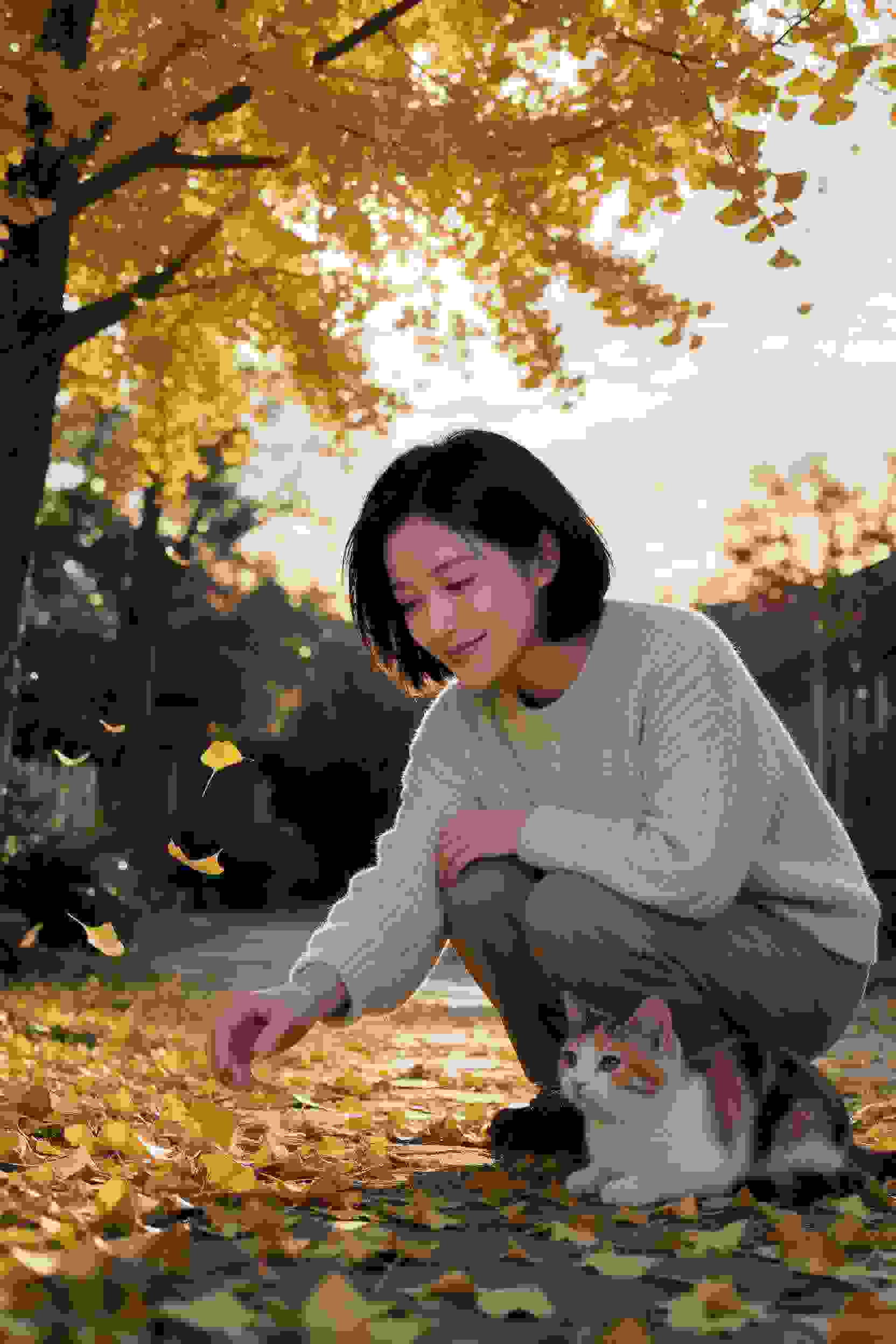 樱花町的教练